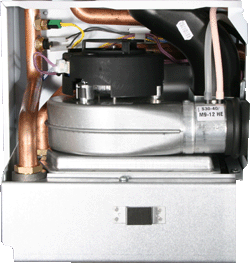 bx pt suprima he inner 2 (he70).gif